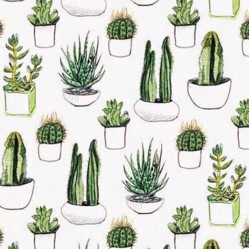 Meet your Posher, Kierstin & ian